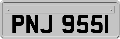 PNJ9551