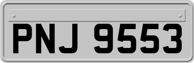 PNJ9553