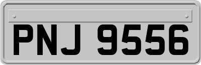 PNJ9556
