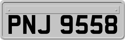 PNJ9558