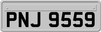 PNJ9559