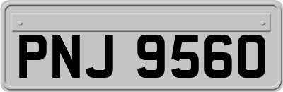 PNJ9560