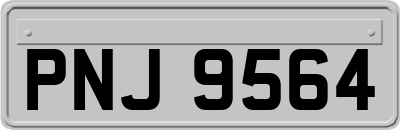 PNJ9564