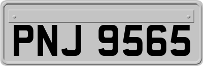 PNJ9565