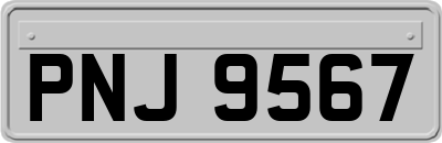 PNJ9567