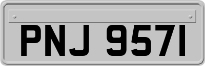 PNJ9571