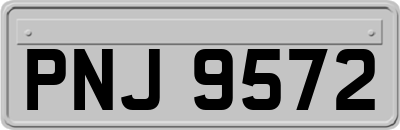 PNJ9572