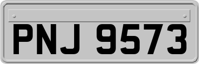 PNJ9573