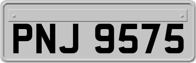 PNJ9575