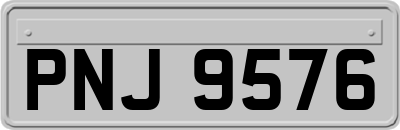 PNJ9576