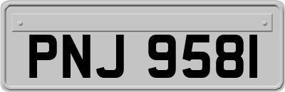 PNJ9581