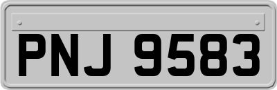 PNJ9583