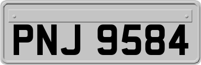 PNJ9584