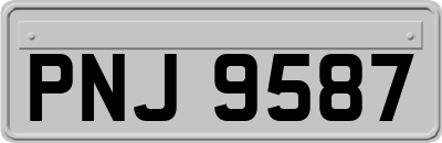 PNJ9587