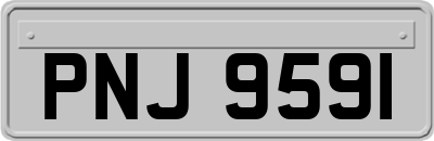 PNJ9591