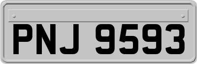 PNJ9593