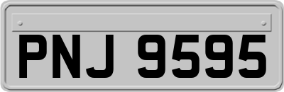 PNJ9595