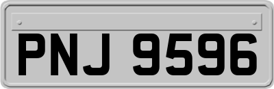 PNJ9596