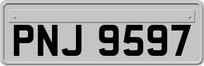 PNJ9597