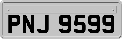 PNJ9599