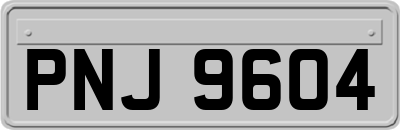 PNJ9604