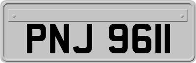 PNJ9611