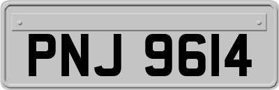 PNJ9614