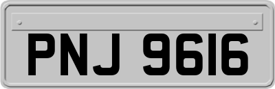 PNJ9616