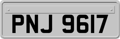 PNJ9617