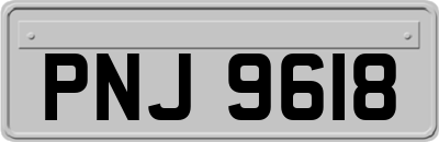 PNJ9618