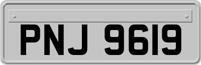 PNJ9619