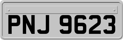 PNJ9623