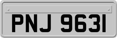 PNJ9631