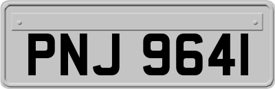PNJ9641