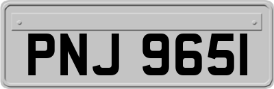 PNJ9651