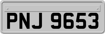 PNJ9653