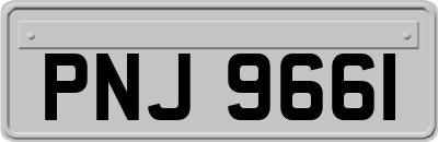 PNJ9661