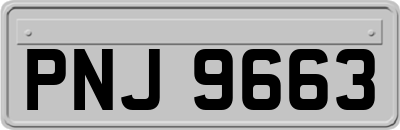 PNJ9663