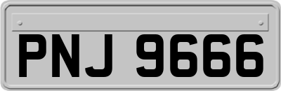 PNJ9666