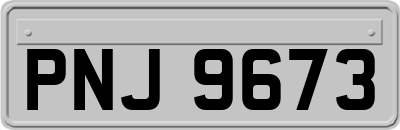 PNJ9673
