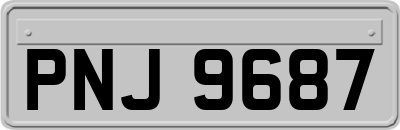 PNJ9687