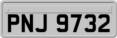 PNJ9732