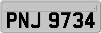 PNJ9734