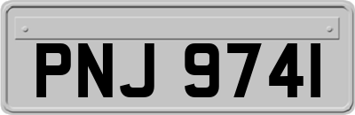 PNJ9741
