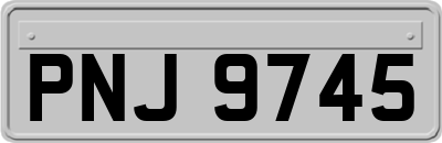 PNJ9745