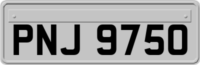 PNJ9750