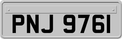 PNJ9761