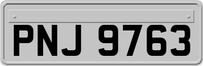 PNJ9763