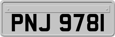 PNJ9781