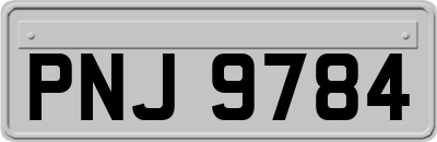 PNJ9784